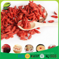 cheap price good Quality Dried Goji berry from China